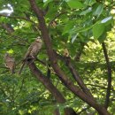 제일안전 이미지