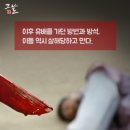 1398목장 이미지