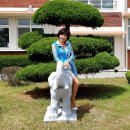 철성초등학교 이미지