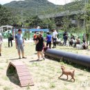 삼막7 이미지