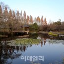 경상남도수목원(수생식물원) 이미지