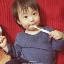 디에스덴탈 | 유아치약 챙겨주세요