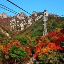 아주특별한여행 이미지