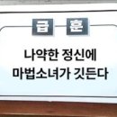 디즈데이즈 이미지