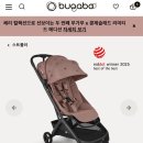 콩제 네이버블로그