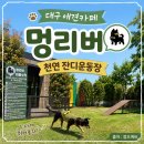 현풍서로 | 대구 현풍 천연잔디 운동장 있는 애견카페 멍리버