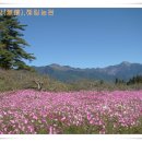 복수농장 이미지