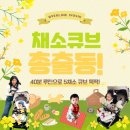 큐브 | 🧊 채소큐브 총출동! 10개월 아기 이유식 큐브 만들기 #채소큐브 #후기이유식 #엄마의기록