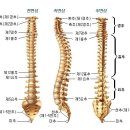 백호한의원 이미지
