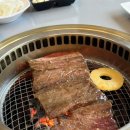 속초정육점