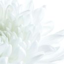 미금문구