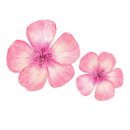 양짓말 물놀이장 이미지