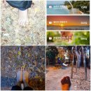 [야간]단전호흡 이미지