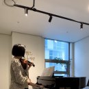 바이올린 (A) NEW 이미지