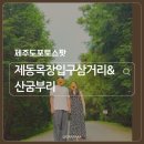 삼거리목장 | 제동목장입구 삼거리 &amp; 산굼부리 | 제주도 사진명소 비추천 &amp; 추천 후기