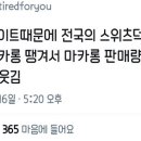 마카롱제이 이미지