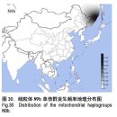 Migration and Diversification of Mitochondrial Haplogroup N9 이미지