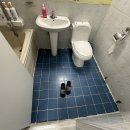 골드펫리조트 이미지