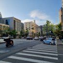 강남-205 이미지