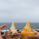 우도개발 | 우도 땅콩아이스크림 원조 맛집 우도왕자이야기 (솔직후기)