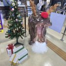 은빛아라 | 사천 아라마루 아쿠아리움, 피규어 전시 오픈! 영화 캐릭터 실감난 등장에 벌써 크리스마스 분위기까지