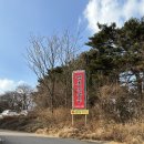 스테이백촌 | 겨울 국내여행 강원도 고성 1박2일 (백촌막국수, 정든식당, 아야진 해수욕장, 천진스테이)