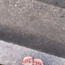 푸디네일