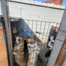 보개주유소 이미지