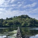 웰컴투센터 | 제주 동쪽 서귀포시 애견동반 가볼만한곳 포토존 웰컴투 삼달리 촬영지 : 오조포구
