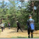 봉산축사 이미지