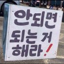 은평마리약국 | 예고 없이 찾아와 나의 하루를 망쳐도 돼