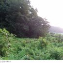 대곡3리 마을회관 이미지