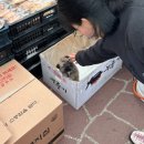 완인농장 | 군위 자연닮은 치유 농장 캠핑 + 숙박 (마음방) 2박 3일 찐 후기