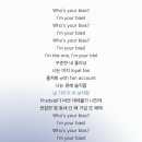 폰트생각 | [폰트후기] Aa샌프란산스⚓