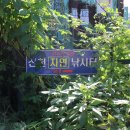 신천자연 낚시터 이미지