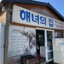 싱싱투어
