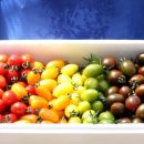 창구농장 이미지