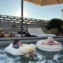 뮤즈 하우스 이미지