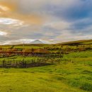 휴먼시아3단지 이미지