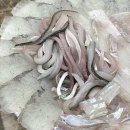 화명횟집 이미지