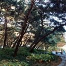 살구골공원 이미지