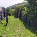 김영철농장 이미지