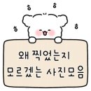 새미끌집 이미지