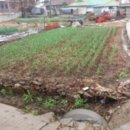 선주지동경로당 이미지