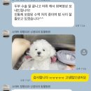 스마트 정형외과 신경외과 동물병원 이미지