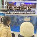 수협할인마트 | 제주도 가성비 좋은 횟감 사러 아이랑 한림수협 수산물시장 방문시간 꿀팁 추천!