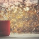 아르떼의원 이미지