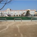 안동초등학교 이미지