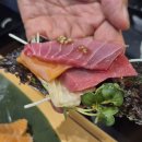 5055 | 장기동 맛집 찾는다면? 참치 오마카세 느낌 제대로 최연참 장기점 솔직 후기