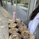 (주)리몬 이미지